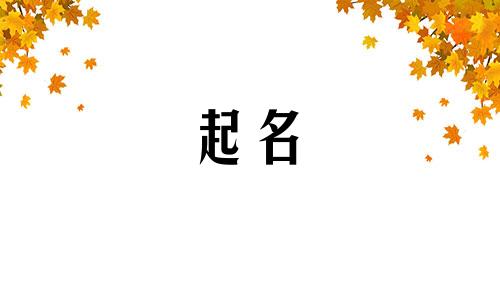 包装制品起名字有哪些