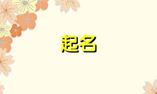 交易平台起名包含哪些要素