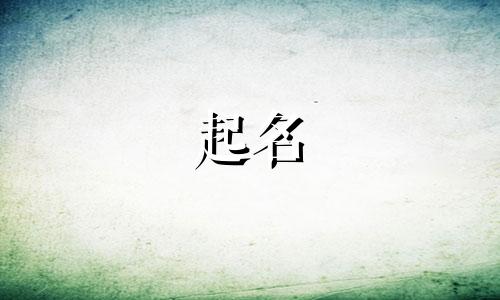 店铺起名有哪些好名子