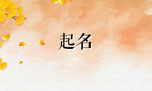 算命起名的书籍有哪些书