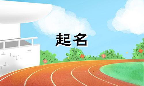 花钱起名推荐的书有哪些