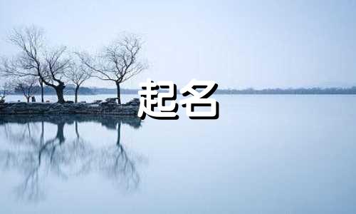 基础字起名软件有哪些字典