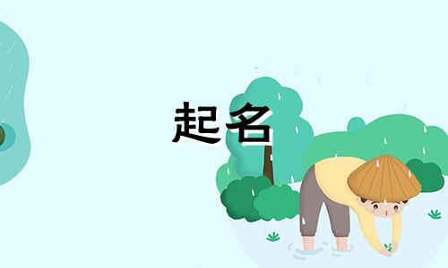 古代给猫咪起名的人有哪些