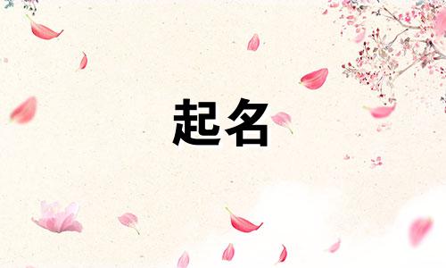 萨摩起名好听的有哪些