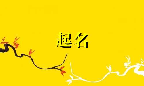 礼仪海报起名推荐词语有哪些