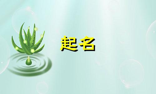 公司在线起名网址有哪些