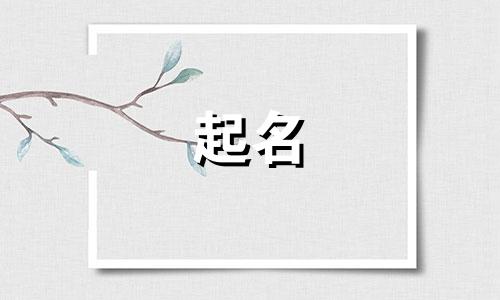 不会起名的小废物有哪些