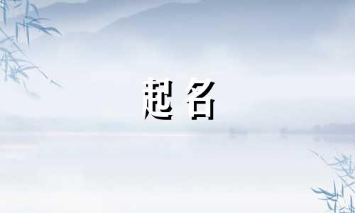起名专用的字体有哪些名字