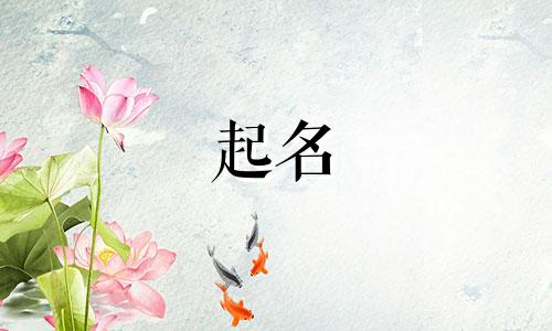 国外伟大企业起名思路有哪些