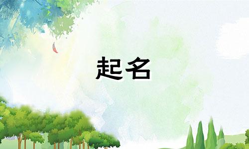 崔起名女孩小名有哪些好听