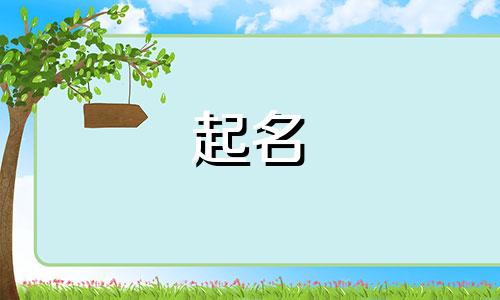 点心局起名品牌有哪些