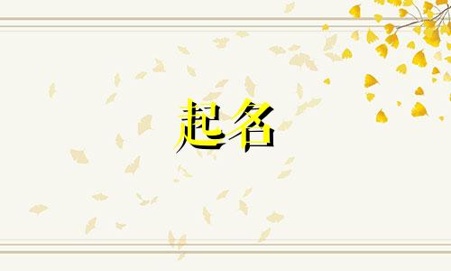 口播类起名素材有哪些