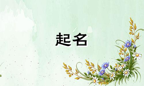 金融公司起名吉祥字有哪些