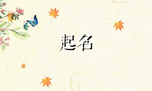 同音字起名软件有哪些