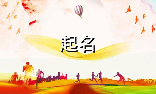 商品起名可爱的名字有哪些