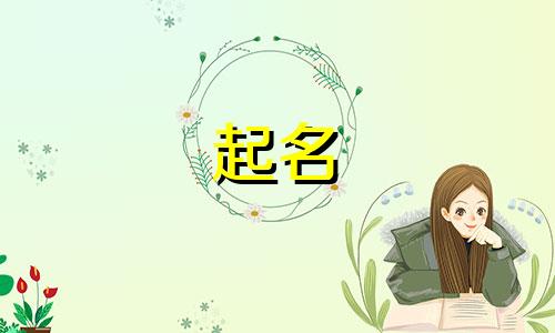 起名网站有哪些平台推荐