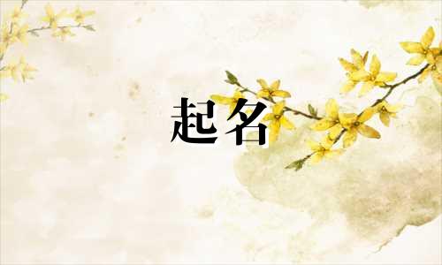 公司起名有哪些好听的名字