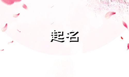 讠偏旁的字有哪些起名
