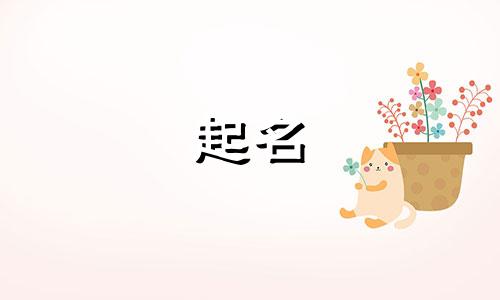 婚庆公司起名字有哪些
