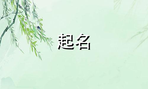 起名时要考虑哪些因素