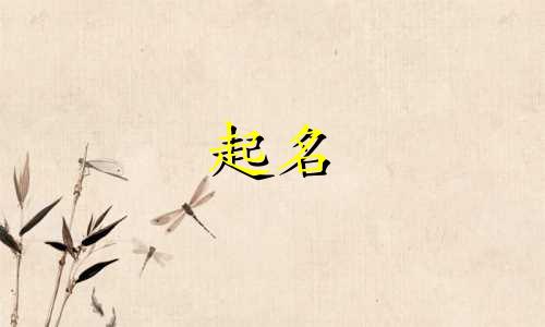 时尚公司起名网站有哪些