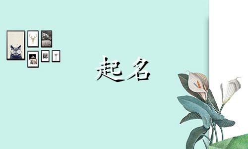 儿女起名的诗句有哪些古诗