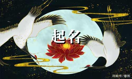 起名女生名字有哪些字好听