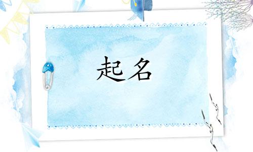 轻医美起名软件有哪些