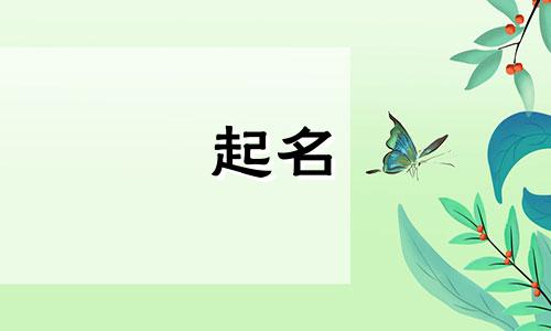起名的寓意是哪些字母组成