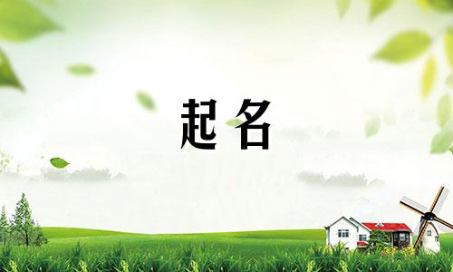 蒙语小组起名口号有哪些