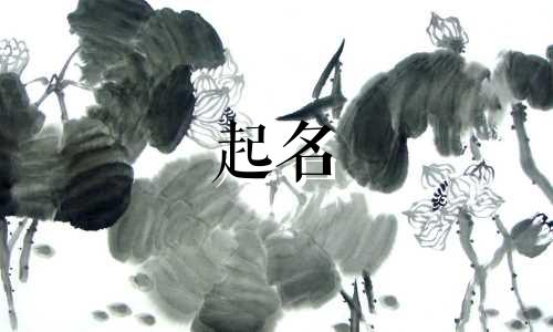 民族作品起名称有哪些