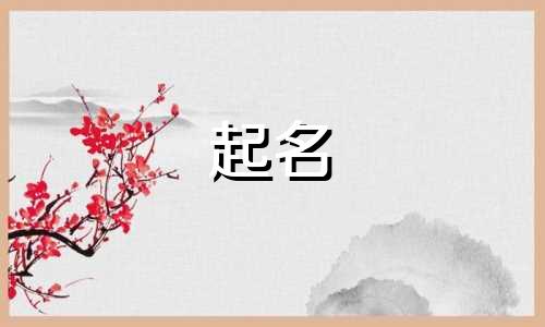 公司起名应该用哪些字体好看