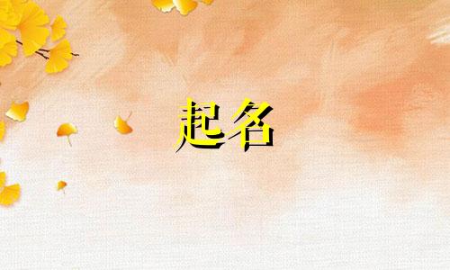 起名大师推荐书籍有哪些