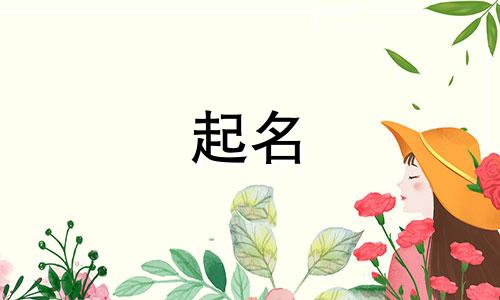 练字班起名软件有哪些好