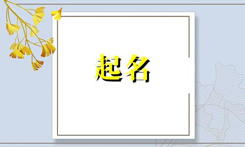 明星起名好玩的有哪些游戏