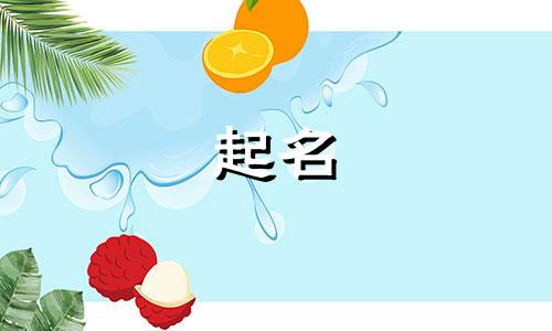 火影里的起名大师有哪些