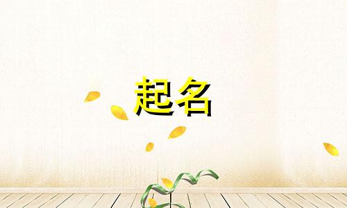 不会起名的酥橙有哪些