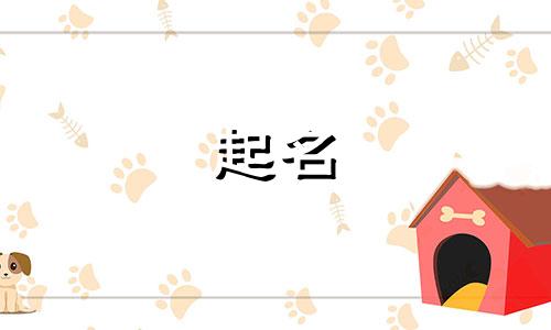 给替身起名规律有哪些内容