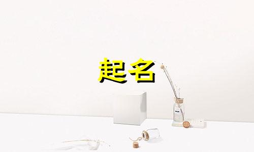 以龙起名的组织有哪些