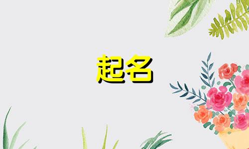 公司起名词语有哪些字