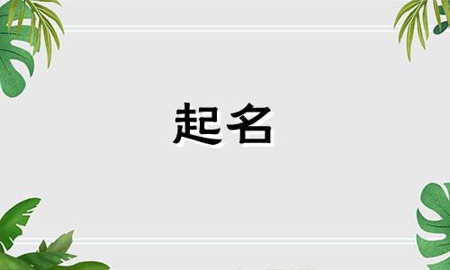 宝宝起名子的字有哪些