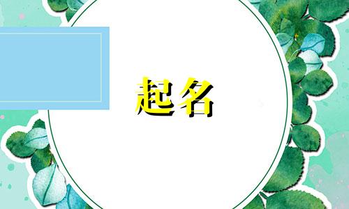 优秀专业起名网站有哪些