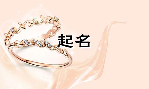 不起名的用户有哪些类型