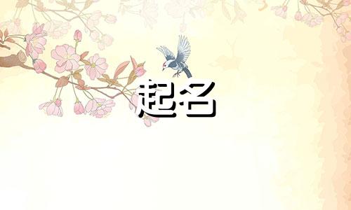 安永县公司起名有哪些