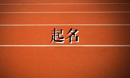 龙凤胎起名软件有哪些