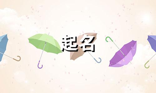 宝宝起名软件公司有哪些