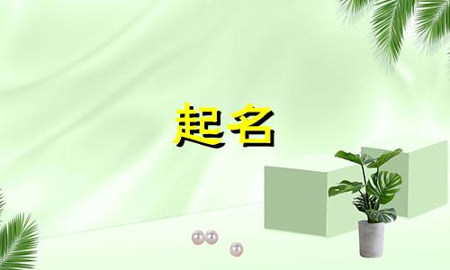 安康起名推荐的地方有哪些