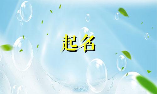 猫咪起名绿茶的名字有哪些