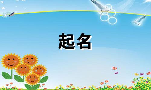 外卖的起名字注意哪些