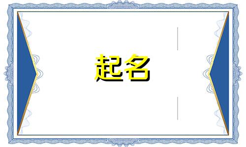 战队起名带梗的有哪些